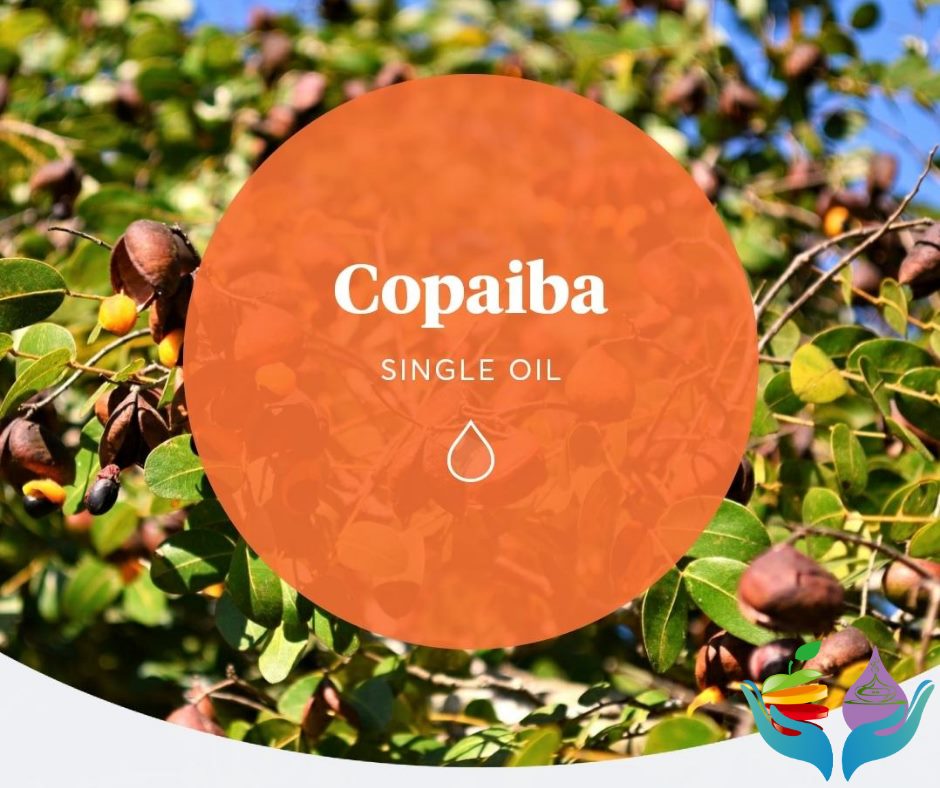 copaiba1
